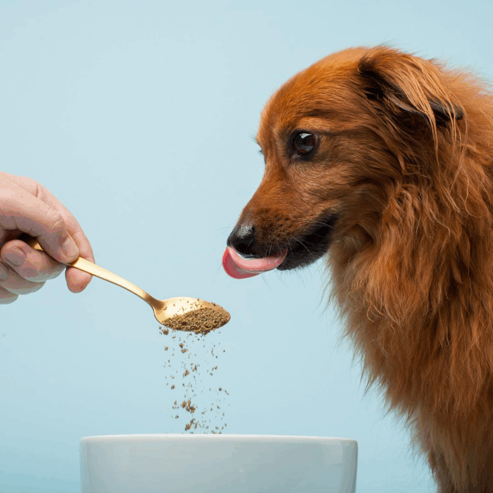 Shop Secondary Image